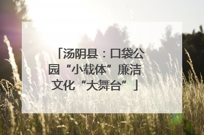 汤阴县：口袋公园“小载体”廉洁文化“大舞台”