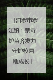 汨罗市罗江镇：禁毒护苗齐发力 守护校园助成长