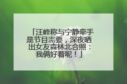汪峰称与宁静牵手是节目需要，深夜晒出女友森林北合照：我俩好着呢！