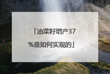 油菜籽增产37%是如何实现的