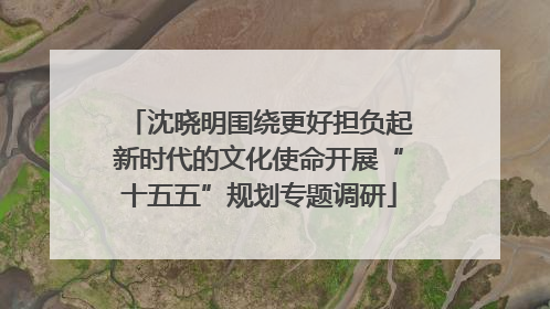 沈晓明围绕更好担负起新时代的文化使命开展“十五五”规划专题调研
