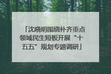 沈晓明围绕补齐重点领域民生短板开展“十五五”规划专题调研