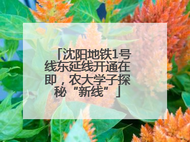 沈阳地铁1号线东延线开通在即，农大学子探秘“新线”