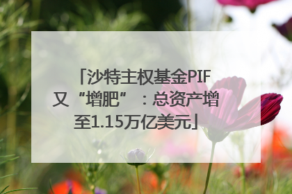 沙特主权基金PIF又“增肥”：总资产增至1.15万亿美元