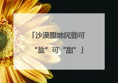 沙漠腹地民勤可“盐”可“甜”