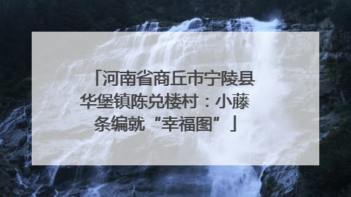 河南省商丘市宁陵县华堡镇陈兑楼村：小藤条编就“幸福图”