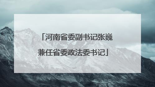 河南省委副书记张巍兼任省委政法委书记