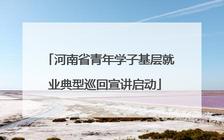 河南省青年学子基层就业典型巡回宣讲启动