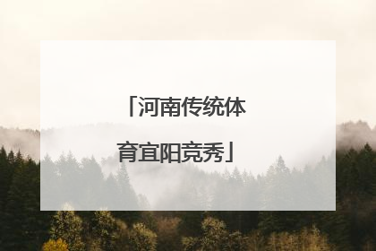 河南传统体育宜阳竞秀