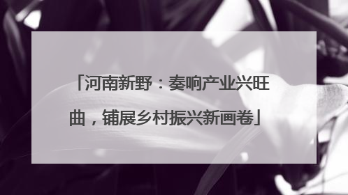 河南新野：奏响产业兴旺曲，铺展乡村振兴新画卷