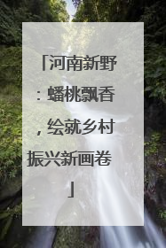 河南新野：蟠桃飘香，绘就乡村振兴新画卷
