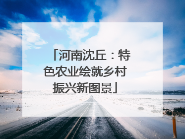 河南沈丘：特色农业绘就乡村振兴新图景