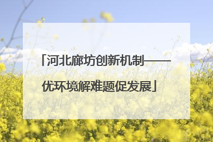 河北廊坊创新机制——优环境解难题促发展