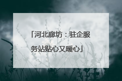 河北廊坊：驻企服务站贴心又暖心