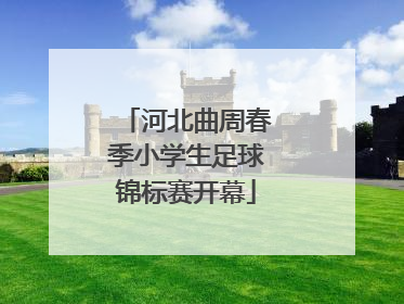 河北曲周春季小学生足球锦标赛开幕