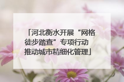 河北衡水开展“网格徒步踏查”专项行动 推动城市精细化管理