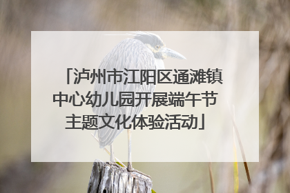 泸州市江阳区通滩镇中心幼儿园开展端午节主题文化体验活动