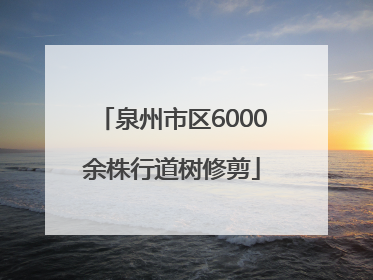 泉州市区6000余株行道树修剪