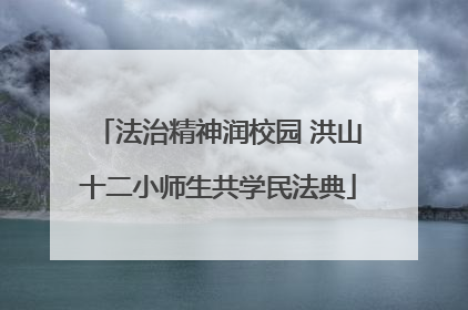 法治精神润校园 洪山十二小师生共学民法典