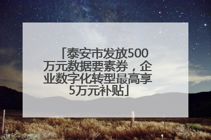 泰安市发放500万元数据要素券，企业数字化转型最高享5万元补贴