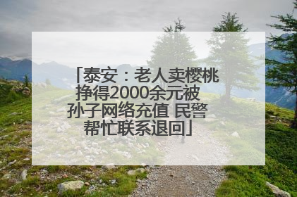 泰安：老人卖樱桃挣得2000余元被孙子网络充值 民警帮忙联系退回