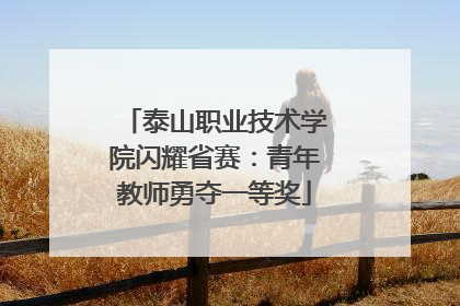 泰山职业技术学院闪耀省赛：青年教师勇夺一等奖