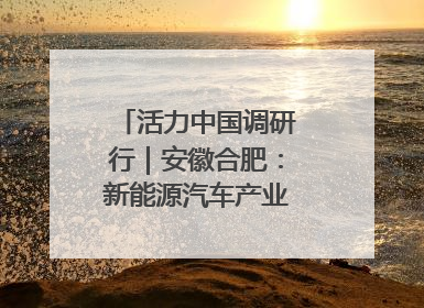 活力中国调研行｜安徽合肥：新能源汽车产业“加速跑”