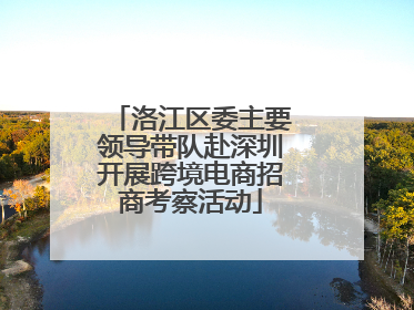 洛江区委主要领导带队赴深圳开展跨境电商招商考察活动