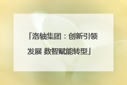 洛轴集团：创新引领发展 数智赋能转型