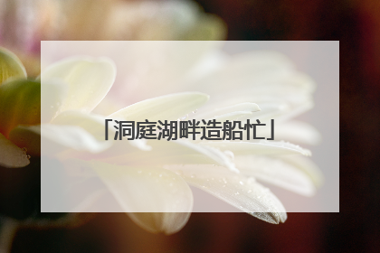 洞庭湖畔造船忙