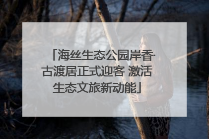 海丝生态公园岸香·古渡居正式迎客 激活生态文旅新动能