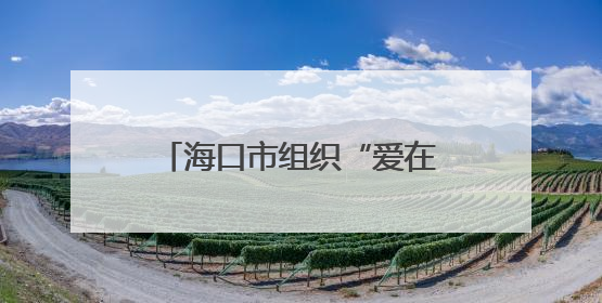 海口市组织“爱在椰城 情牵军营”军地青年联谊活动