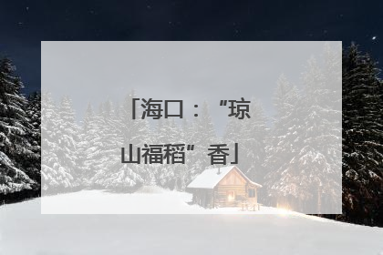 海口：“琼山福稻”香