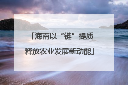 海南以“链”提质 释放农业发展新动能