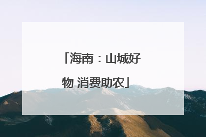 海南：山城好物 消费助农