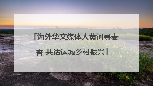 海外华文媒体人黄河寻麦香 共话运城乡村振兴