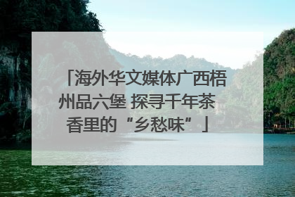 海外华文媒体广西梧州品六堡 探寻千年茶香里的“乡愁味”
