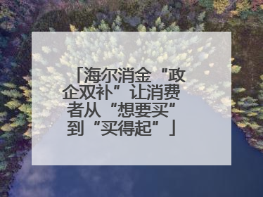 海尔消金“政企双补”让消费者从“想要买”到“买得起”