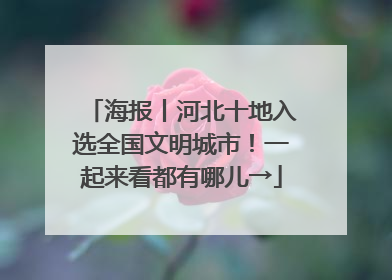 海报丨河北十地入选全国文明城市！一起来看都有哪儿→