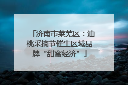 济南市莱芜区：油桃采摘节催生区域品牌“甜蜜经济”
