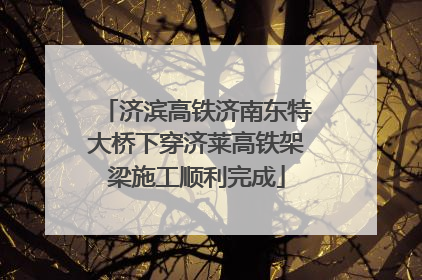 济滨高铁济南东特大桥下穿济莱高铁架梁施工顺利完成