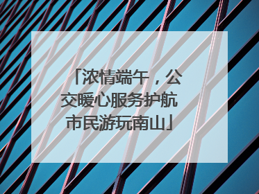 浓情端午，公交暖心服务护航市民游玩南山