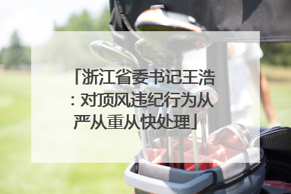 浙江省委书记王浩：对顶风违纪行为从严从重从快处理