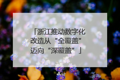 浙江推动数字化改造从“全覆盖”迈向“深覆盖”
