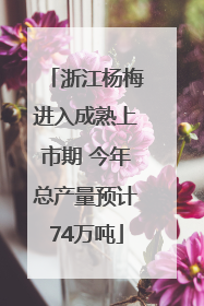 浙江杨梅进入成熟上市期 今年总产量预计74万吨
