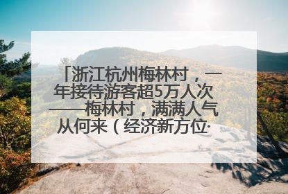 浙江杭州梅林村，一年接待游客超5万人次——梅林村，满满人气从何来（经济新方位·农村消费观察）