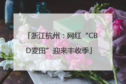 浙江杭州：网红“CBD麦田”迎来丰收季