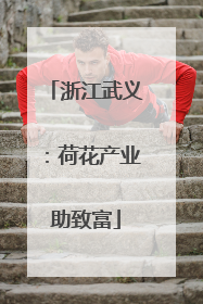 浙江武义：荷花产业助致富