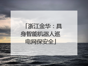 浙江金华：具身智能机器人巡电网保安全