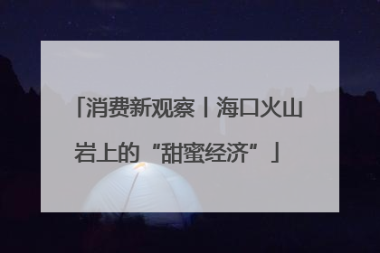 消费新观察丨海口火山岩上的“甜蜜经济”